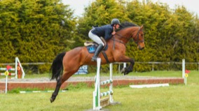 Charlie Bultitude Equestrian